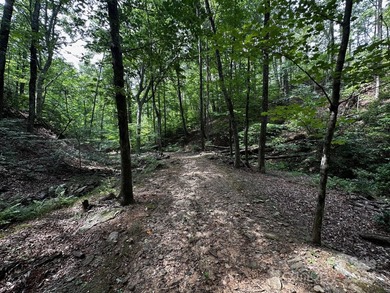 34 ACRES less than 2 miles from beautiful Lake Lure! This - photo 30