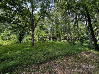 34 ACRES less than 2 miles from beautiful Lake Lure! This - photo 31