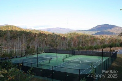 34 ACRES less than 2 miles from beautiful Lake Lure! This - photo 38