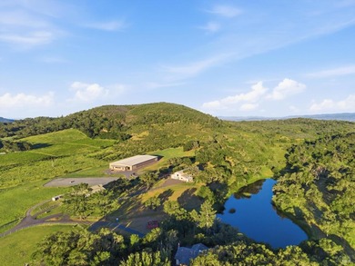 Welcome to 7490 Wild Horse Valley Road, an extraordinary Napa - photo 2