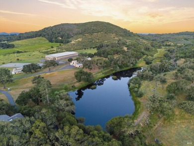 Welcome to 7490 Wild Horse Valley Road, an extraordinary Napa - photo 3