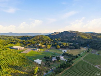 Welcome to 7490 Wild Horse Valley Road, an extraordinary Napa - photo 4
