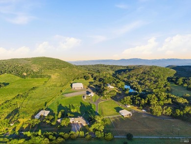 Welcome to 7490 Wild Horse Valley Road, an extraordinary Napa - photo 5