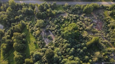 Lakefront 324 Acres - photo 9