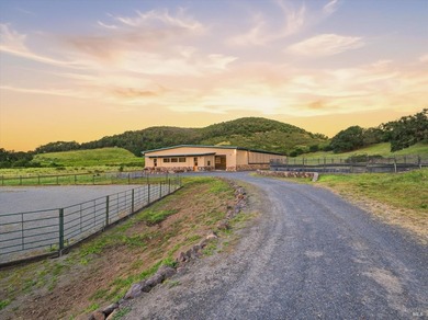 Welcome to 7490 Wild Horse Valley Road, an extraordinary Napa - photo 7