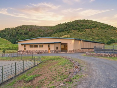 Welcome to 7490 Wild Horse Valley Road, an extraordinary Napa - photo 8