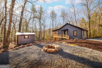 Toccoa River - Fannin County Home For Sale in Blue Ridge Georgia