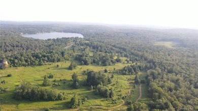 Lakefront 324 Acres - photo 7