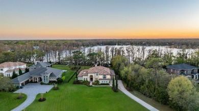 Lake Home For Sale in Odessa, Florida