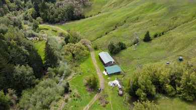 THE BUCKEYE RANCH IN Petrolia -- A rare opportunity to own 2 - photo 12