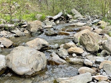 THE BUCKEYE RANCH IN Petrolia -- A rare opportunity to own 2 - photo 14