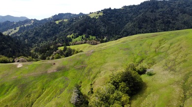 THE BUCKEYE RANCH IN Petrolia -- A rare opportunity to own 2 - photo 18