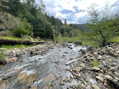 THE BUCKEYE RANCH IN Petrolia -- A rare opportunity to own 2 - photo 19
