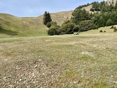 THE BUCKEYE RANCH IN Petrolia -- A rare opportunity to own 2 - photo 29