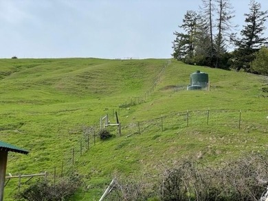 THE BUCKEYE RANCH IN Petrolia -- A rare opportunity to own 2 - photo 30