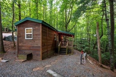 Coosawattee River - Gilmer County Home For Sale in Ellijay Georgia