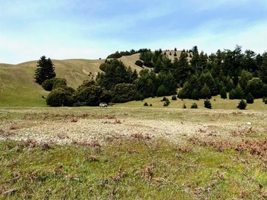 THE BUCKEYE RANCH IN Petrolia -- A rare opportunity to own 2 - photo 33