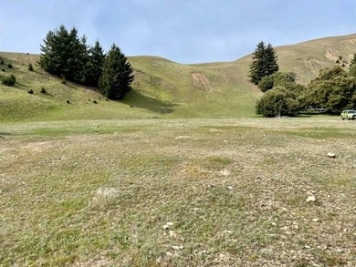 THE BUCKEYE RANCH IN Petrolia -- A rare opportunity to own 2 - photo 34