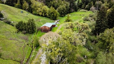 THE BUCKEYE RANCH IN Petrolia -- A rare opportunity to own 2 - photo 35