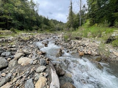 THE BUCKEYE RANCH IN Petrolia -- A rare opportunity to own 2 - photo 36