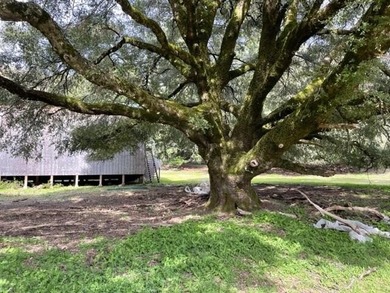 THE BUCKEYE RANCH IN Petrolia -- A rare opportunity to own 2 - photo 37