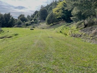 THE BUCKEYE RANCH IN Petrolia -- A rare opportunity to own 2 - photo 42