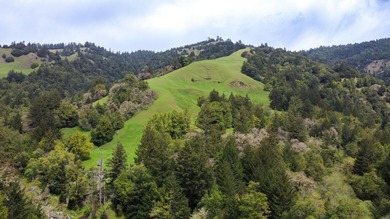 THE BUCKEYE RANCH IN Petrolia -- A rare opportunity to own 2 - photo 46
