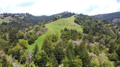 THE BUCKEYE RANCH IN Petrolia -- A rare opportunity to own 2 - photo 47