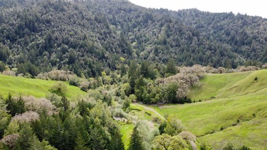 THE BUCKEYE RANCH IN Petrolia -- A rare opportunity to own 2 - photo 55