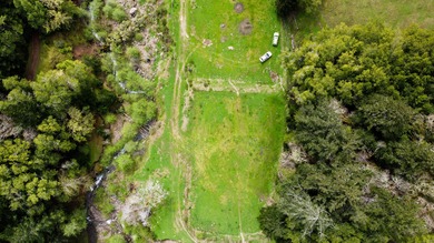 THE BUCKEYE RANCH IN Petrolia -- A rare opportunity to own 2 - photo 56