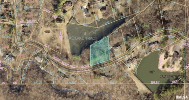 Cedar Lake Lot For Sale in Carbondale Illinois