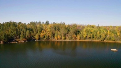 Lake Acreage For Sale in Beatty Twp, Minnesota