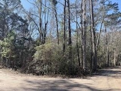 Woodland Lakes Lot For Sale in Midway Georgia