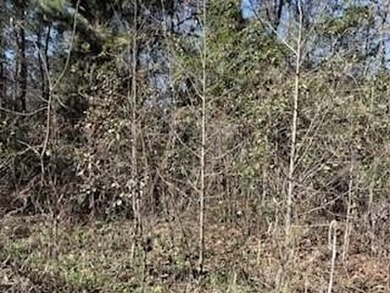 Woodland Lakes Lot For Sale in Midway Georgia
