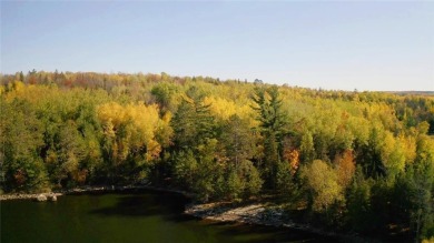 Lake Acreage For Sale in Beatty Twp, Minnesota