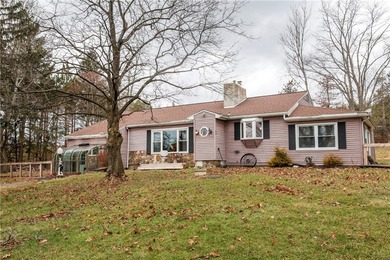 (private lake, pond, coastal) Home For Sale in Pine City New York