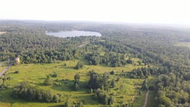 Lakefront 324 Acres - photo 6