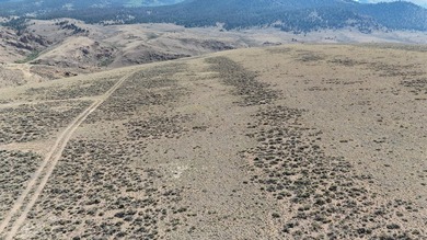 Reva Land is an amazing and private 7.5 acre parcel above Twin - photo 7