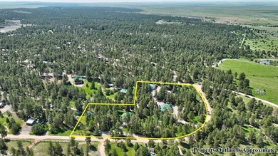 Come see this custom-built 2 BR/2 Bath home nestled among pine - photo 47