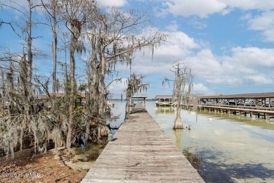 Welcome to 26 Chadwick Place Dr., offering 52.5 feet of prime - photo 5