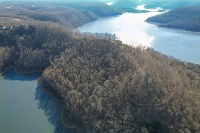 Center Hill Lake Lot For Sale in Sparta Tennessee
