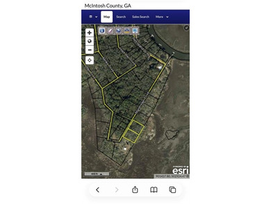 (private lake, pond, coastal) Lot For Sale in Darien Georgia