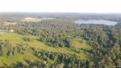 Lakefront 324 Acres - photo 2