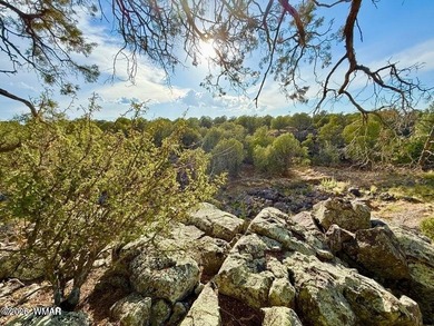 White Mountain Lake Lot For Sale in Show Low Arizona