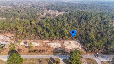 BUILD YOUR NEW HOME OR ZONED FOR MOBILE HOMES!! Large lot ready - photo 5