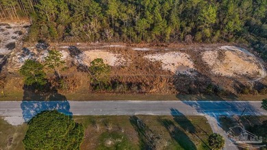 BUILD YOUR NEW HOME OR ZONED FOR MOBILE HOMES!! Large lot ready - photo 8