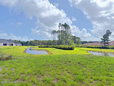PROPOSED CONSTRUCTION on a very unique Pond-front Lot, at the - photo 3