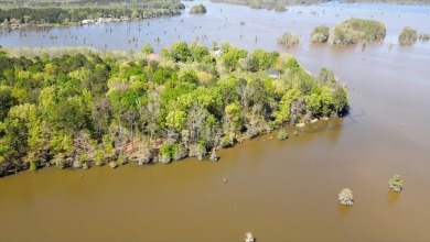 Lake Blackshear Lot For Sale in Cobb Georgia