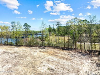 Lake Lot For Sale in Winton, North Carolina