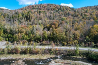 Beaverkill River Acreage For Sale in Hancock New York